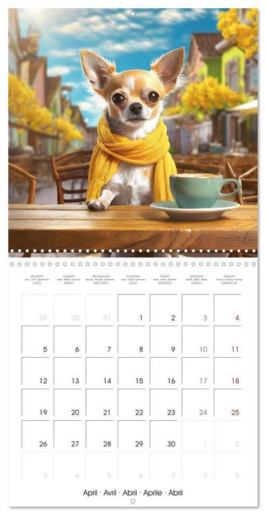 Produktbild: Chilling Chihuahuas (Wall Calendar 2027 12 &times; 12 Inch) CALVENDO 12 Month Wall Calendar
