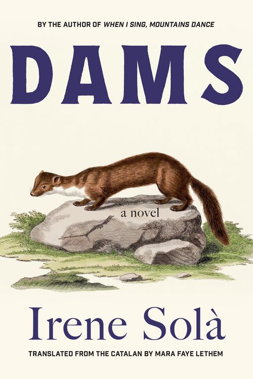 Produktbild: Dams