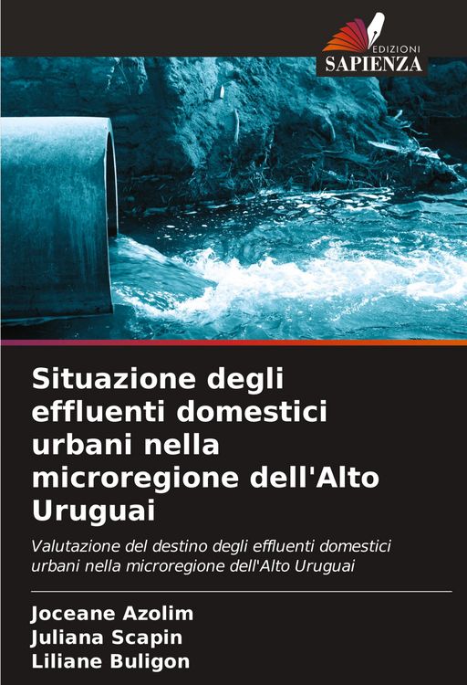 Produktbild: Situazione degli effluenti domestici urbani nella microregione dell'Alto Uruguai