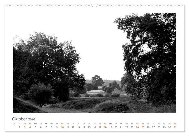 Produktbild: Quo Vadis? W&auml;lder und Wege in der R&ouml;hn, L&uuml;neburger Heide und der Mecklenburgischen Seenplatte (Wandkalender 2026 DIN A2 quer), CALVENDO Monatskalender