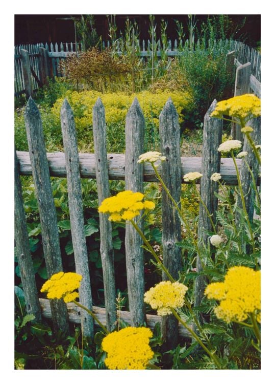 Produktbild: Bauerng&auml;rten
