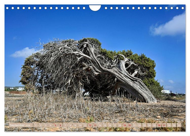 Produktbild: Zypern - Europ&auml;ische Perle zwischen Asien und Afrika (Wandkalender 2026 DIN A4 quer), CALVENDO Monatskalender