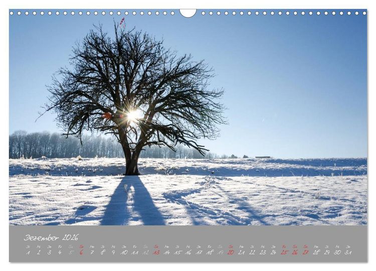 Produktbild: Zw&ouml;lf Monate in T&uuml;bingen (Wandkalender 2026 DIN A3 quer), CALVENDO Monatskalender