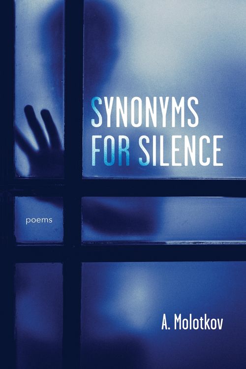 Produktbild: Synonyms for Silence