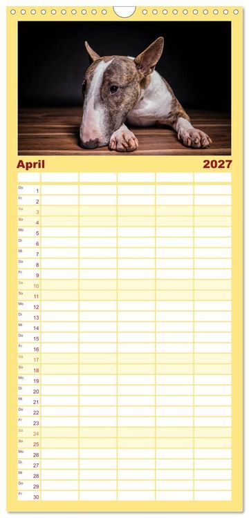 Produktbild: Familienplaner 2027 - Bullterrier mit 5 Spalten (Wandkalender, 21 x 45 cm) CALVENDO