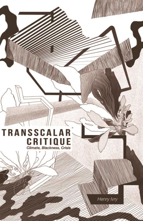 Produktbild: Transscalar Critique