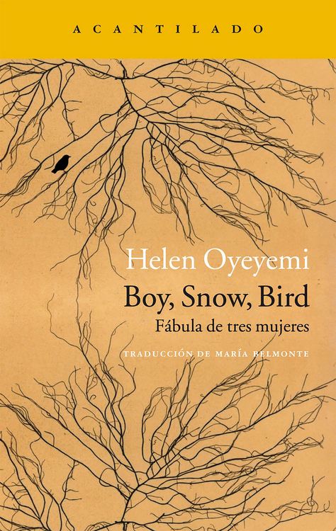 Produktbild: Boy, Snow, Bird
