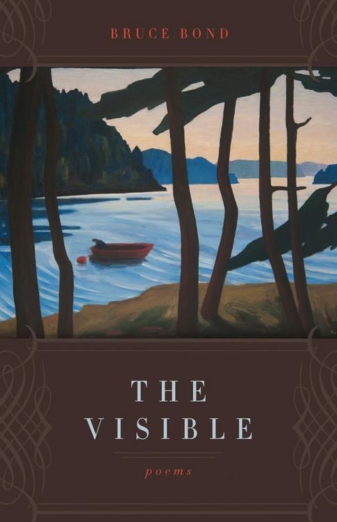 Produktbild: The Visible