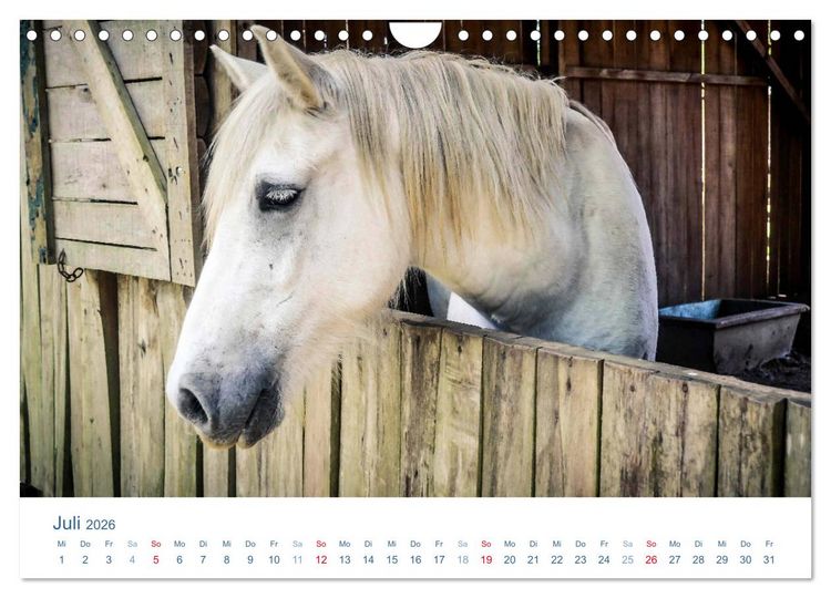 Produktbild: Tierisches Leben auf dem Bauernhof 2026 (Wandkalender 2026 DIN A4 quer), CALVENDO Monatskalender