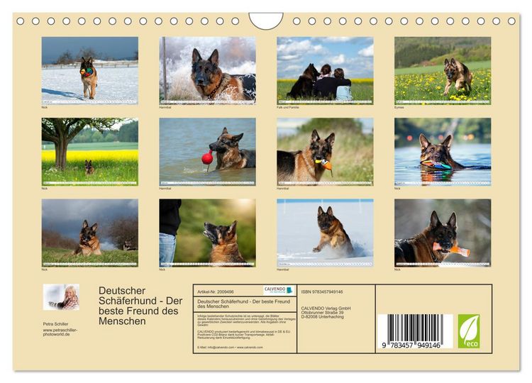 Produktbild: Deutscher Sch&auml;ferhund - Der beste Freund des Menschen (Wandkalender 2026 DIN A4 quer), CALVENDO Monatskalender
