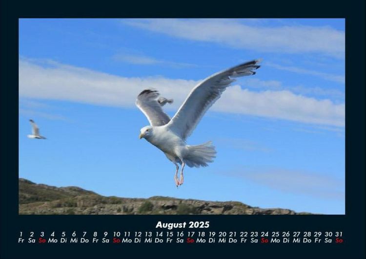 Produktbild: Nordsee 2025 Fotokalender DIN A4