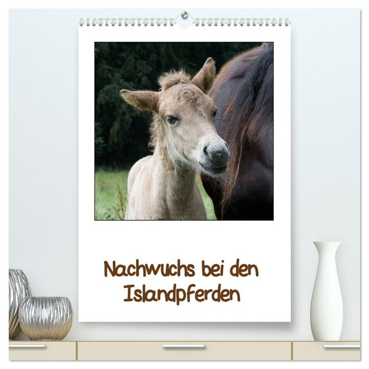 Produktbild: Nachwuchs bei den Islandpferden (hochwertiger Premium Wandkalender 2026 DIN A2 hoch), Kunstdruck in Hochglanz