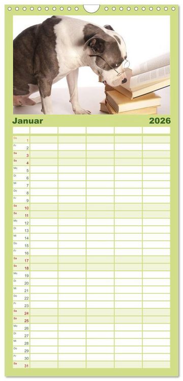 Produktbild: Familienplaner 2026 - Pit Bull und Co. - Geliebt, gef&uuml;rchtet, missverstanden mit 5 Spalten (Wandkalender, 21 x 45 cm) CALVENDO