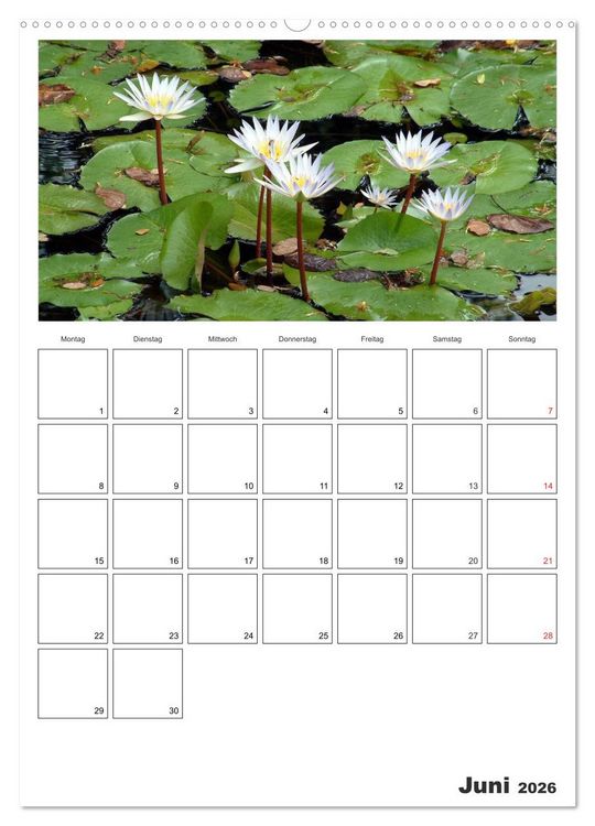 Produktbild: Venezuela - Land der Kontraste (Wandkalender 2026 DIN A2 hoch), CALVENDO Monatskalender