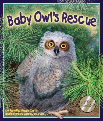 Produktbild: Baby Owl's Rescue