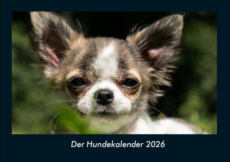 Produktbild: Der Hundekalender 2026 Fotokalender DIN A4