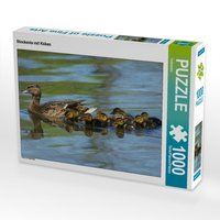 Produktbild: CALVENDO Puzzle Stockente mit K&uuml;ken 1000 Teile Lege-Gr&ouml;&szlig;e 64 x 48 cm Foto-Puzzle Bild von Kattobello