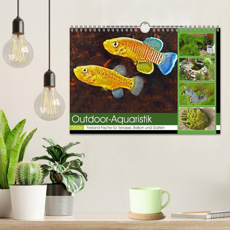 Produktbild: Outdoor-Aquaristik (Wandkalender 2026 DIN A4 quer), CALVENDO Monatskalender