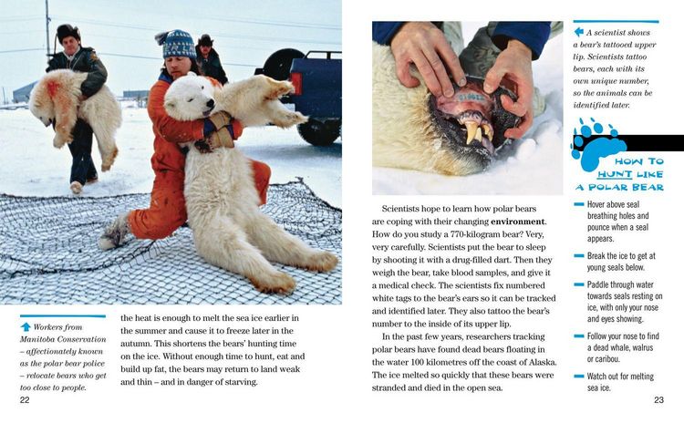 Produktbild: NAT GEO READER POLAR BEARS