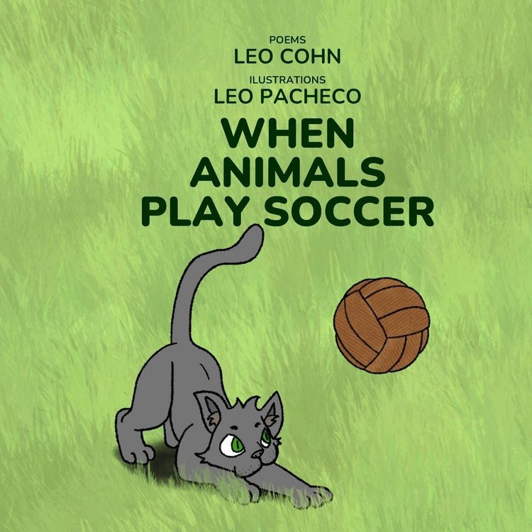 Produktbild: When Animals Play Soccer