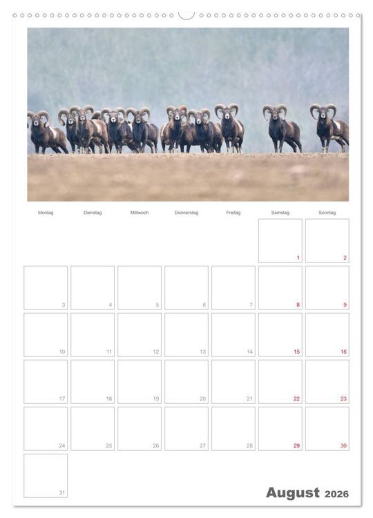 Produktbild: Rehe & Co / Planer (Wandkalender 2026 DIN A2 hoch), CALVENDO Monatskalender