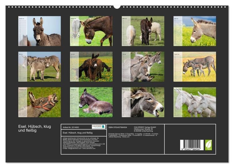Produktbild: Esel. H&uuml;bsch, klug und flei&szlig;ig (hochwertiger Premium Wandkalender 2026 DIN A2 quer), Kunstdruck in Hochglanz