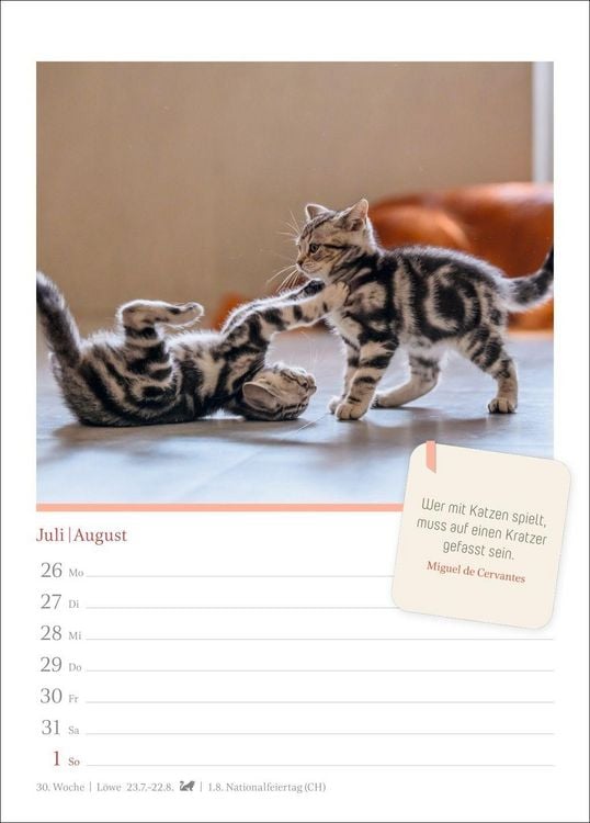 Produktbild: Katzengl&uuml;ck Wochenkalender 2027 - mit Zitaten