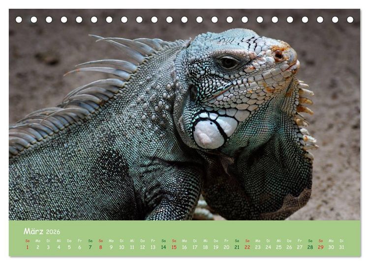 Produktbild: Am Amazonas (Tischkalender 2026 DIN A5 quer), CALVENDO Monatskalender