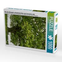 Produktbild: CALVENDO Puzzle Mai: Das Maiengr&uuml;n schm&uuml;ckt die Eiche, der Vorsommer naht. 1000 Teile Lege-Gr&ouml;&szlig;e 48 x 64 cm Foto-Puzzle Bild von Ingo Gerlach GDT