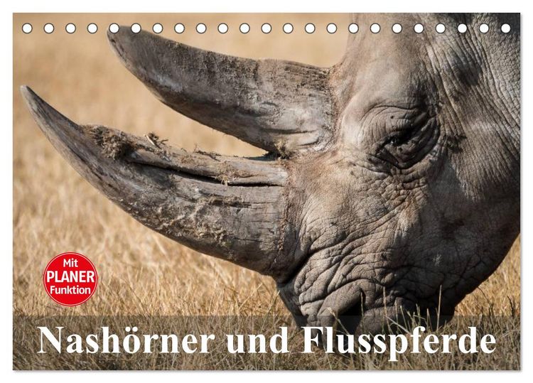 Produktbild: Nash&ouml;rner und Flusspferde (Tischkalender 2026 DIN A5 quer), CALVENDO Monatskalender