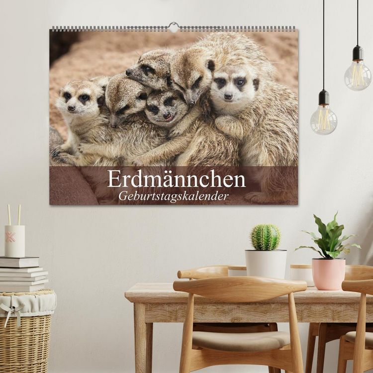 Produktbild: Erdm&auml;nnchen (Wandkalender 2026 DIN A2 quer), CALVENDO Monatskalender