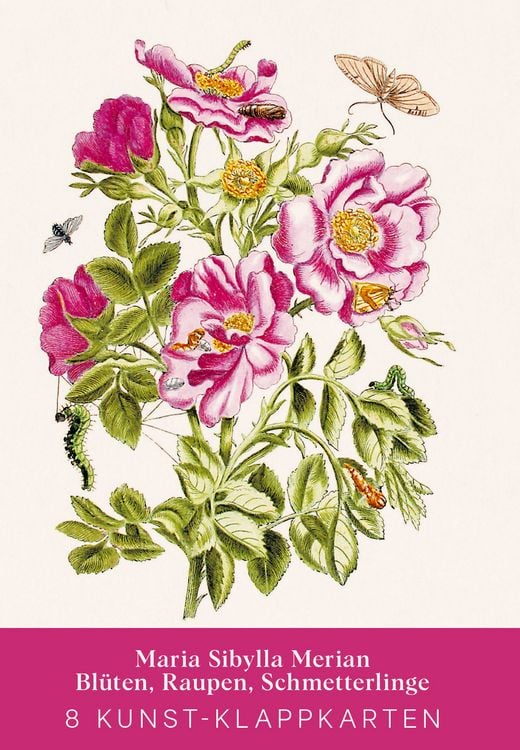 Produktbild: Maria Sibylla Merian &ndash; Acht Kunst-Klappkarten