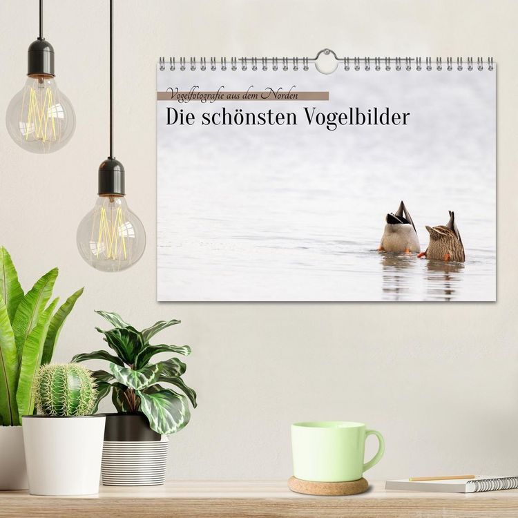 Produktbild: Vogelfotografie aus dem Norden (Wandkalender 2027 DIN A4 quer), CALVENDO Monatskalender