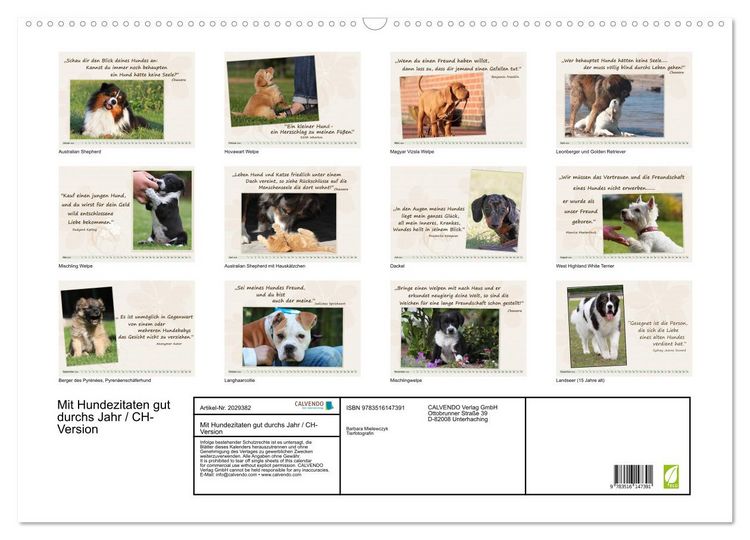 Produktbild: Mit Hundezitaten gut durchs Jahr / CH-Version (Wandkalender 2026 DIN A2 quer), CALVENDO Monatskalender