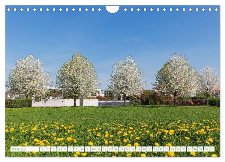 Produktbild: K&ouml;ln Widdersdorf - Bl&uuml;tentr&auml;ume und l&auml;ndliche Idylle (Wandkalender 2026 DIN A4 quer), CALVENDO Monatskalender