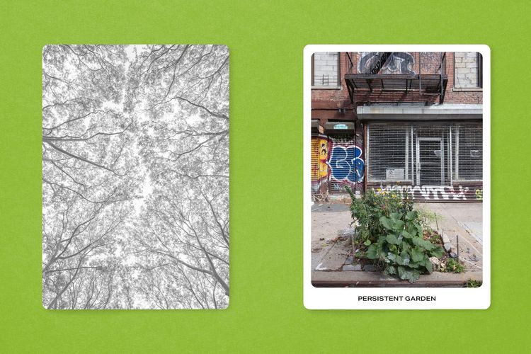Produktbild: New York City Street Tree Tarot