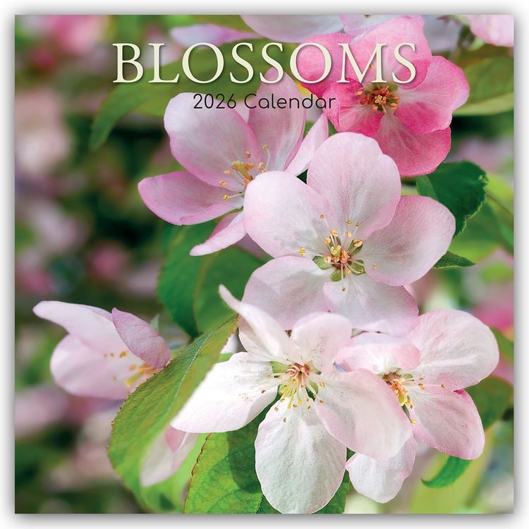Produktbild: Blossoms – Blüten 2026 – 16-Monatskalender