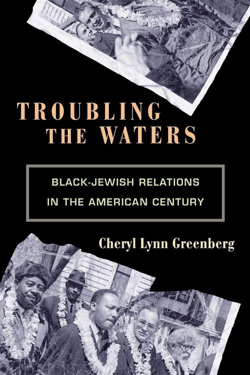 Produktbild: Troubling the Waters