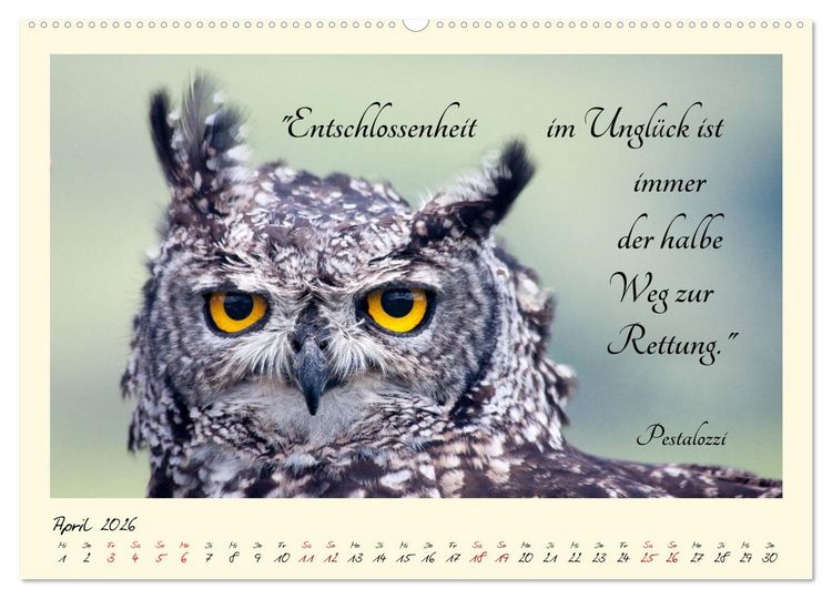 Produktbild: Gl&uuml;cksmomente Gl&uuml;cks-Zitate zu Fotos der gro&szlig;artigen s&uuml;dafrikanischen Tierwelt (hochwertiger Premium Wandkalender 2026 DIN A2 quer), Kunstdruck in Hochglanz
