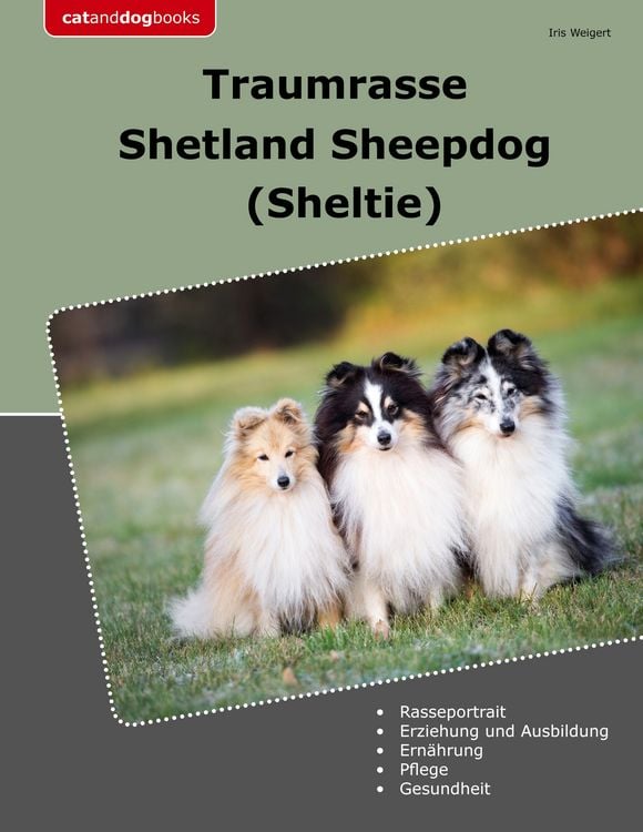 Produktbild: Traumrasse Shetland Sheepdog