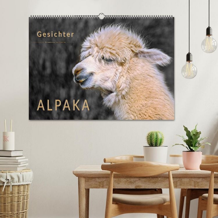 Produktbild: Alpaka Gesichter (Wandkalender 2026 DIN A2 quer), CALVENDO Monatskalender