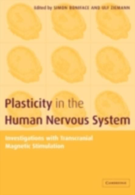 Produktbild: Plasticity in the Human Nervous System
