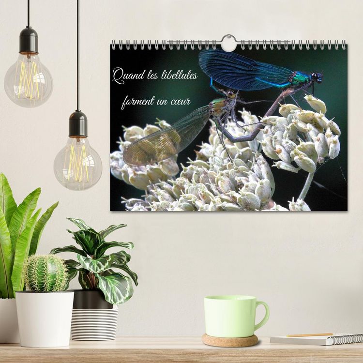 Produktbild: Quand les libellules forment un c&oelig;ur (Calendrier mural 2026 DIN A4 vertical), CALVENDO calendrier mensuel