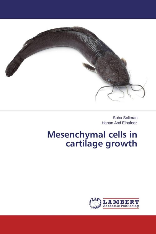 Produktbild: Mesenchymal cells in cartilage growth
