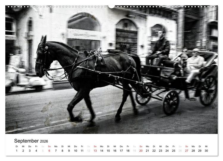 Produktbild: Silberstein portr&auml;tiert Palermo (Wandkalender 2026 DIN A2 quer), CALVENDO Monatskalender