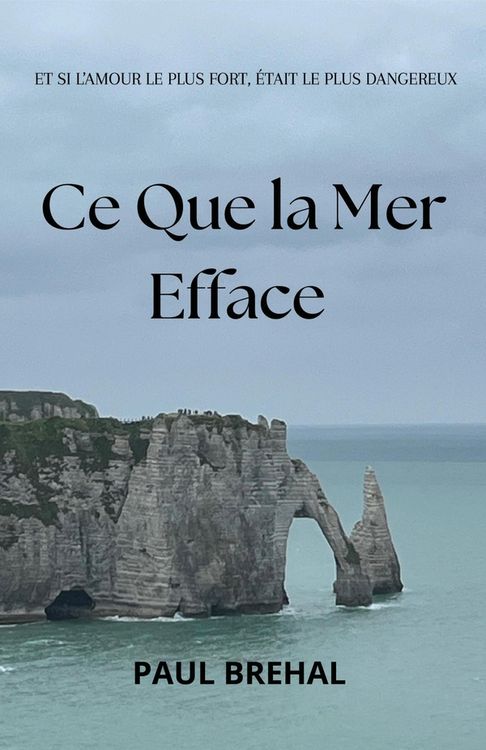 Produktbild: Ce que la mer efface