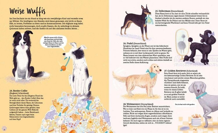 Produktbild: In 80 Hunden um die Welt