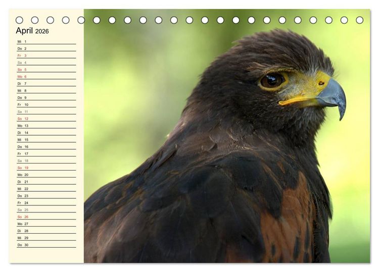 Produktbild: Greifv&ouml;gel (Tischkalender 2026 DIN A5 quer), CALVENDO Monatskalender