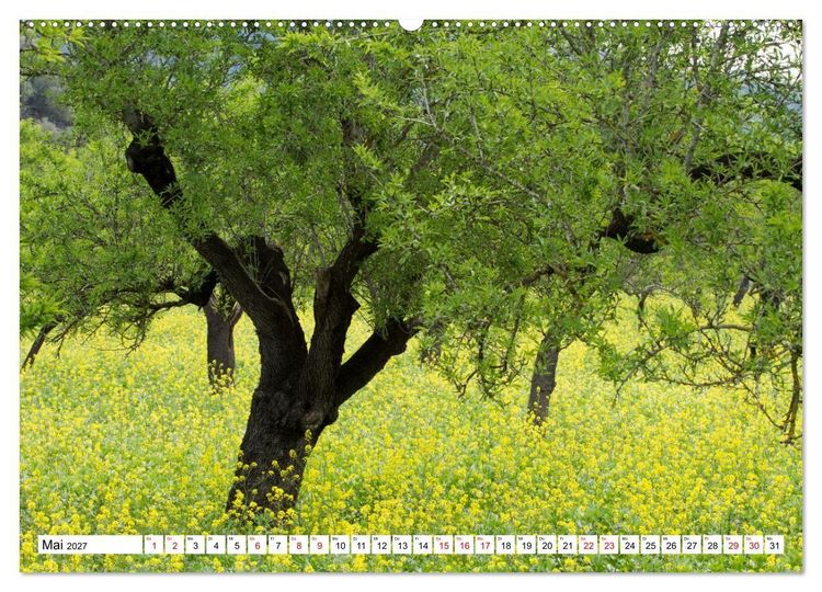Produktbild: Mallorca - Momente einer Reise (hochwertiger Premium Wandkalender 2027 DIN A2 quer), Kunstdruck in Hochglanz