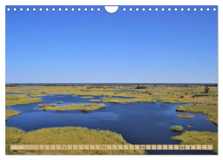Produktbild: Bunte Wunder der Natur (Wandkalender 2026 DIN A4 quer), CALVENDO Monatskalender